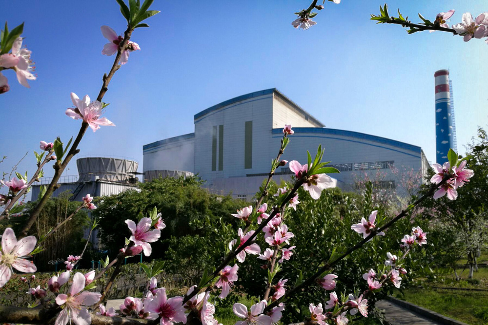 Tongxing.jpg Tongxing.jpg