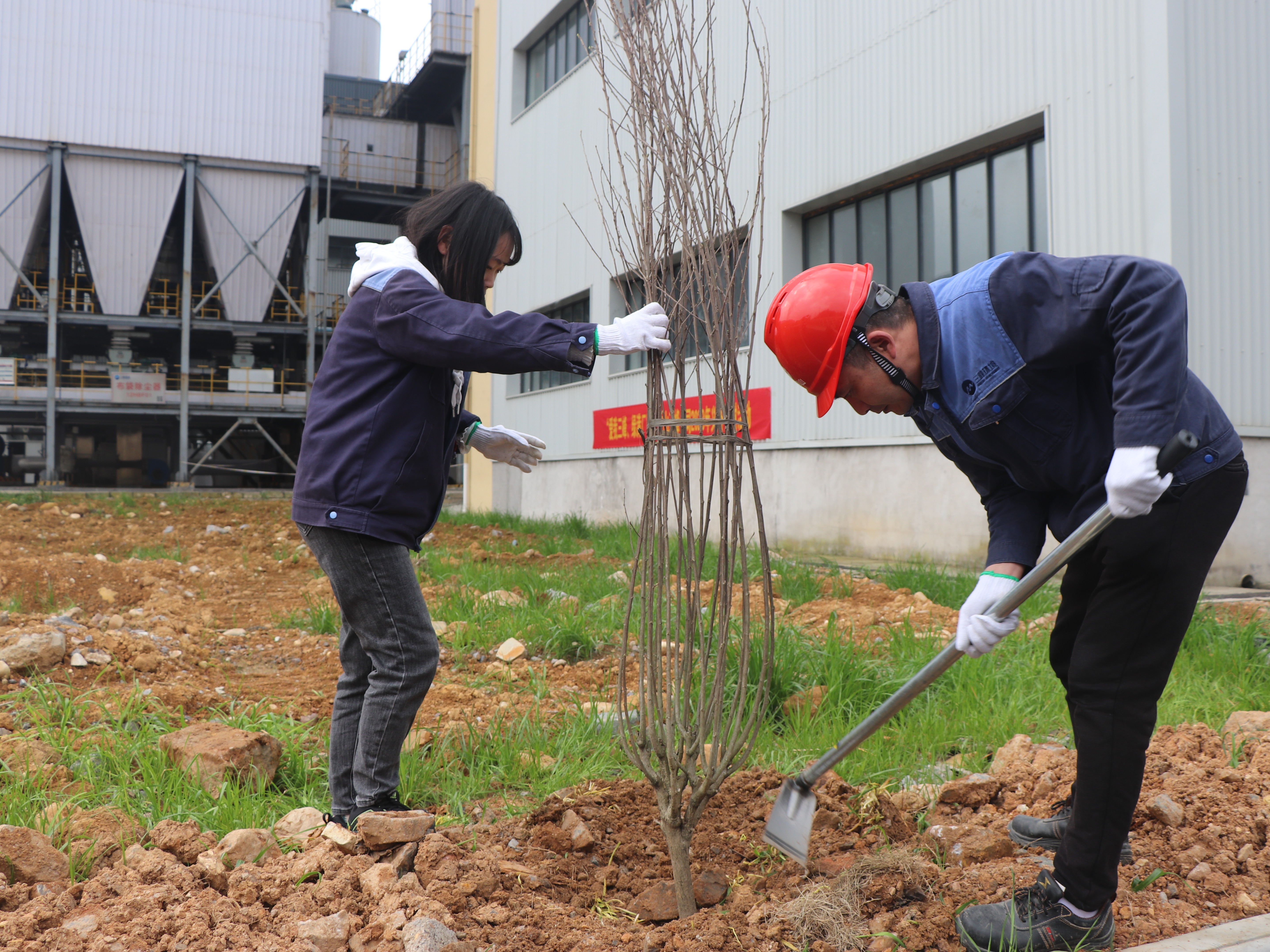 IMG_6200.JPG IMG_6200.JPG